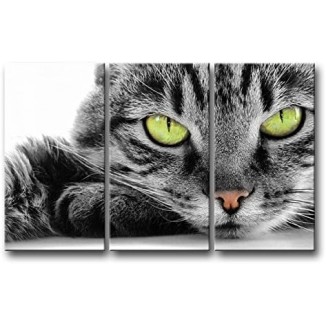 Cat Wall Art Painting 3 Piece Black and White Green Eye Cat Pictures Prints On Canvas Animal The Picture Decor Oil for Home Modern Decoration Print