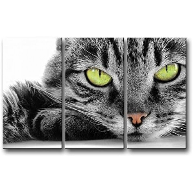 Cat Wall Art Painting 3 Piece Black and White Green Eye Cat Pictures Prints On Canvas Animal The Picture Decor Oil for Home Modern Decoration Print