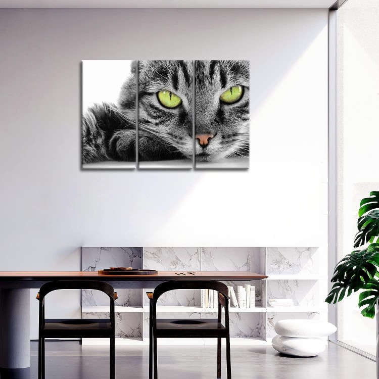 Cat Wall Art Painting 3 Piece Black and White Green Eye Cat Pictures Prints On Canvas Animal The Picture Decor Oil for Home Modern Decoration Print