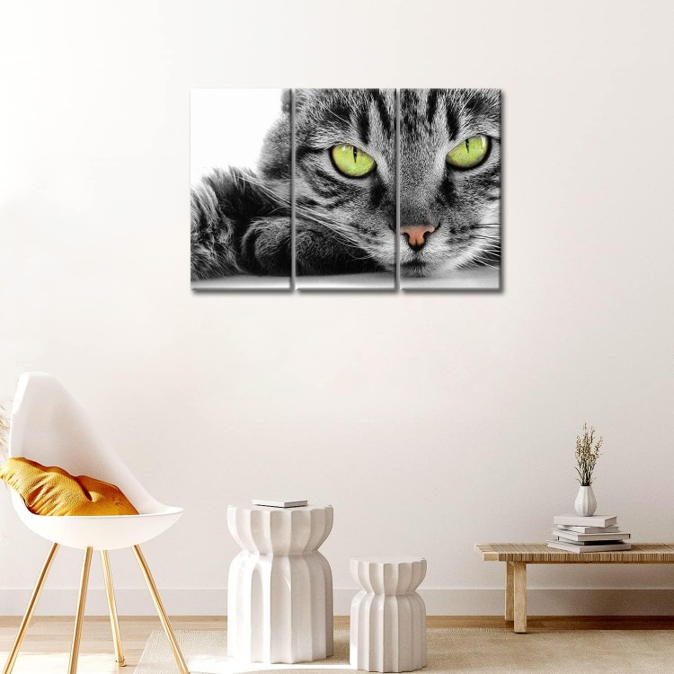 Cat Wall Art Painting 3 Piece Black and White Green Eye Cat Pictures Prints On Canvas Animal The Picture Decor Oil for Home Modern Decoration Print