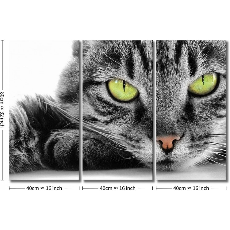 Cat Wall Art Painting 3 Piece Black and White Green Eye Cat Pictures Prints On Canvas Animal The Picture Decor Oil for Home Modern Decoration Print