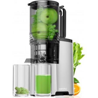 Cold Press Juicer, 5.4 Extra Large Feed Chute Fit Whole Fruits & Vegetables, 350W Professional Slow Masticating Juicer Machines, Easy to Clean