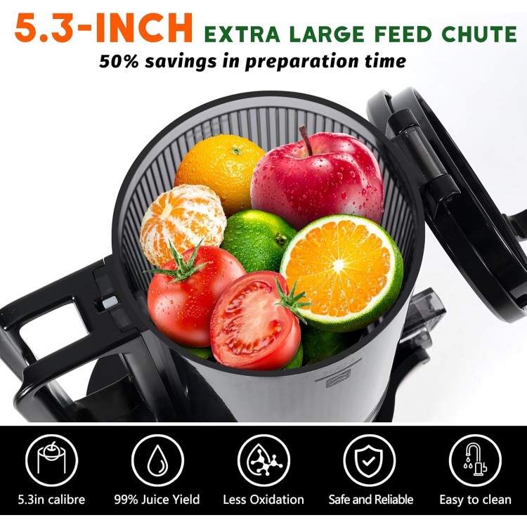 LQZ Cold Press Juicer,Slow Masticating Juicer Machines,5.3 Large Bore Feed Chute Fit Whole Vegetables and Fruits,350W Juice Extractor Machine,Easy to Clean Juicer(Black)