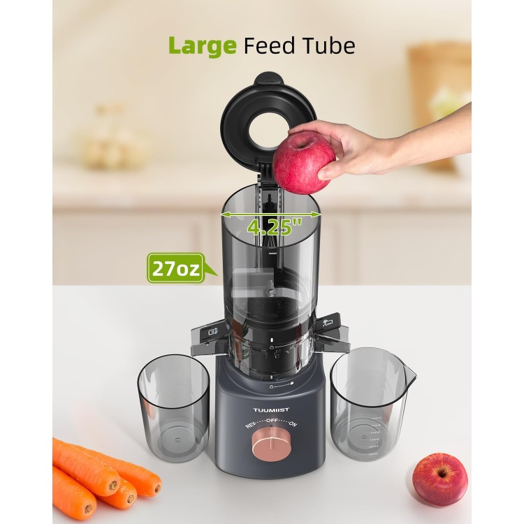 Cold Press Juicer with 8 Juice Bottles - Masticating Juicer Machines for Fruits and Veggies, 4.25 Large Feed Chute, Easy to Clean