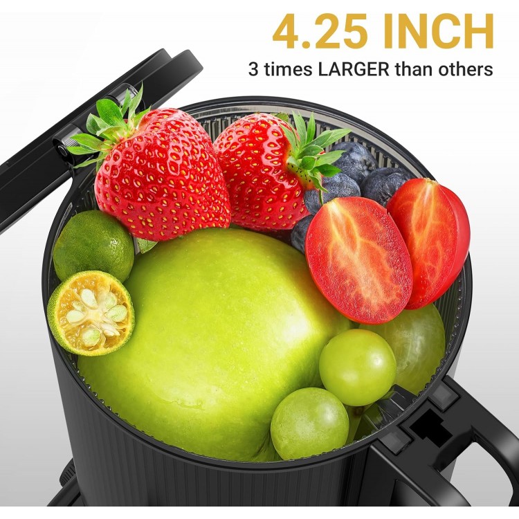 Cold Press Juicer - 4.25 IN Large Feed Chute Juicer Machine for Whole Fruit - Anti Drip Slow Juicer with Reverse Function - Masticating Juicer with Double-Layer Filter, Quiet Motor, Black