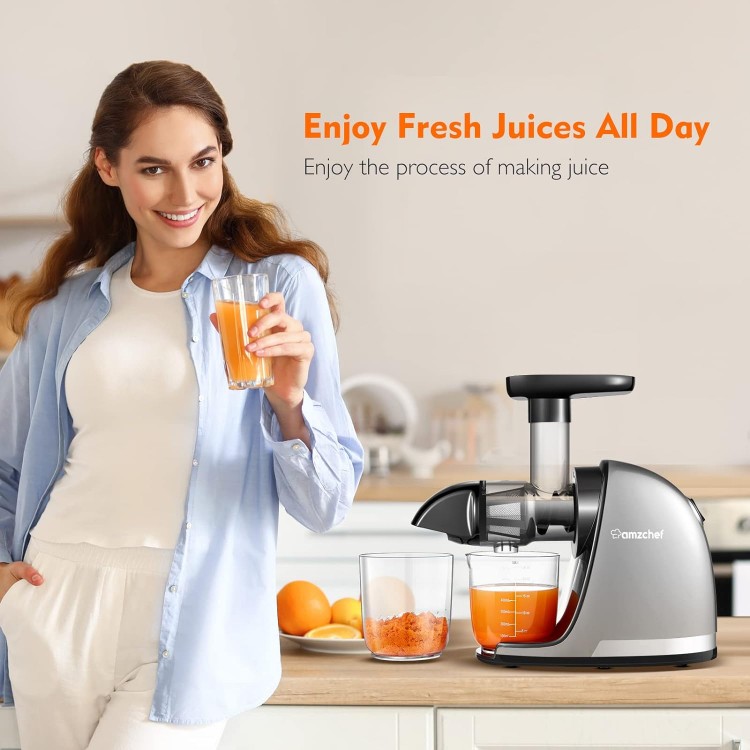 Masticating Juicer Machines, AMZCHEF Slow Cold Press Juicer with Reverse Function, High Juice Yield, Easy Clean with Brush,Recipes for High Nutrient Fruits and Vegetables, Gray(Updated)