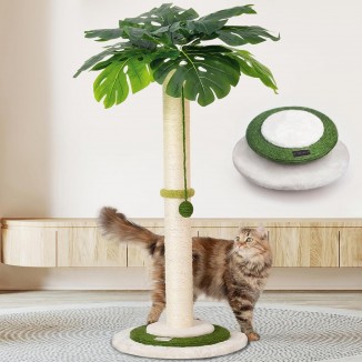 MEOWOOU Cat Scratching Post for Indoor Cats and Kitten, 35” Tall Monstera cat Scratching Post with sisal Hanging Interactive Ball, Suitable for Large Adult cat, Kitten, and All Type of Cats