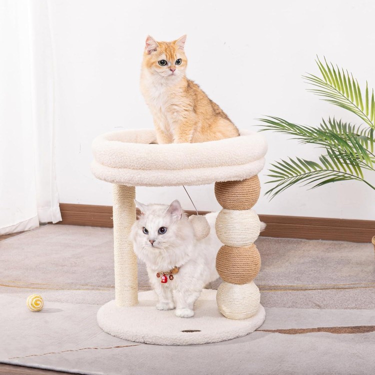 Small Cat Tree for Indoor Cats with Large Cozy Plush Top Perch, Natural Sisal Scratching Posts for Kittens and Cats