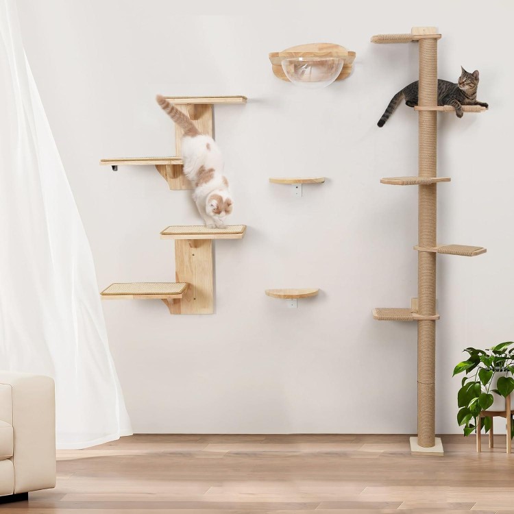 FUKUMARU Cat Wall Shelves, 2 Platform Cat Wall Furniture, Tree Shape Wall-Mounted Cat Floating Shelf with Sisal Mat, Solid Rubber Wood Cat Perch for 16 Inch Drywall, Suitable for Climb, Play, Nap