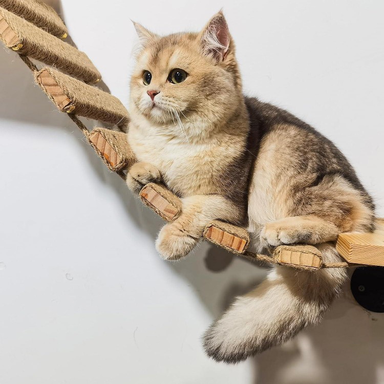 Cat Wall Frame for Climbing. Handcrafted Pine Furniture: Sisal Rope Suspension Bridge, Cat Hammock, Steps and Travel Platform. Suitable for Climb, Perch, Activity. DIY Cat Highway and Cat Wall.