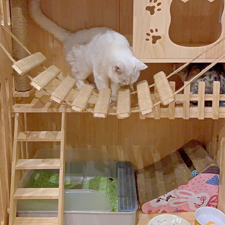 40in Cat Ladder, Sisal Rope Bridge, Climbing Frame Accessory, Cat Wall Steps, Furniture Shelves Walkways Tower Indoor Outdoor