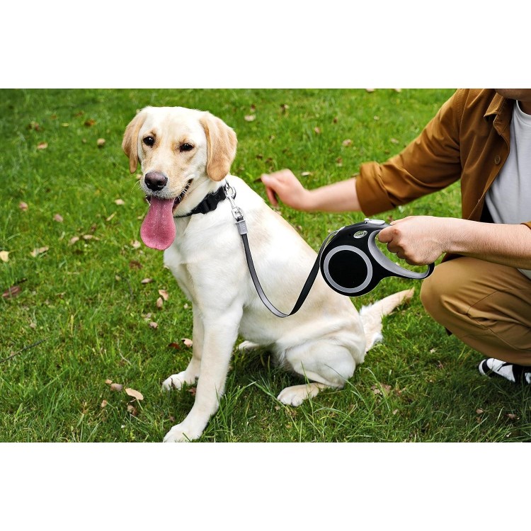 Retractable Dog Leash, 26 Feet Dog Leash for Small to Large Dogs up to 110lbs,Heavy Duty Design with Anti-Slip Handle, One-Handed Quick-Lock Braking System.