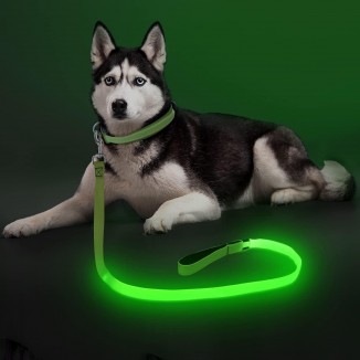 Colaseeme LED Dog Leash Light Up Dog Leash 4 Feet Micro USB Rechargeable Nylon Webbing Glow Safety Standard Dog Leash for Dogs (Green)