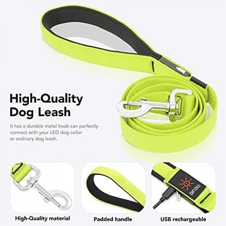 Colaseeme LED Dog Leash Light Up Dog Leash 4 Feet Micro USB Rechargeable Nylon Webbing Glow Safety Standard Dog Leash for Dogs (Green)