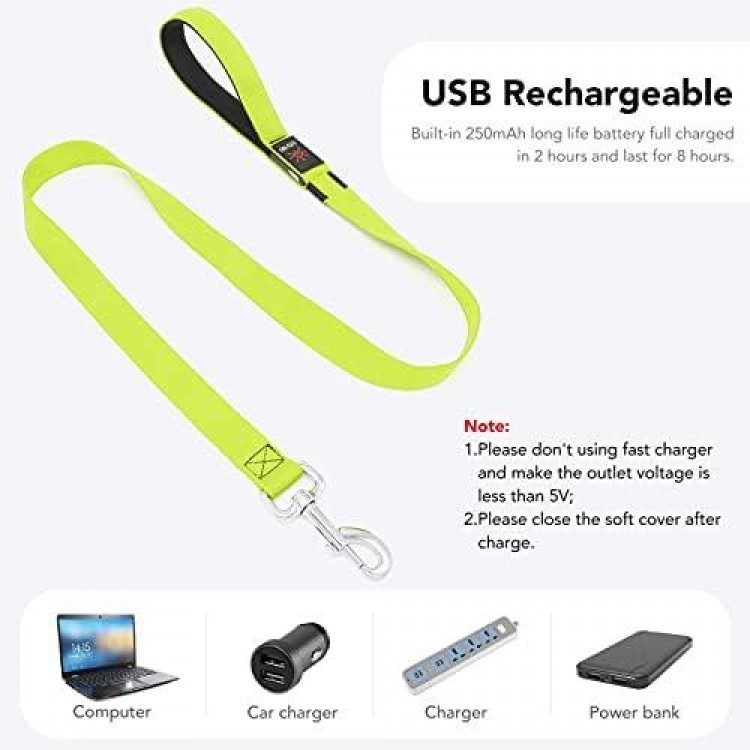 Colaseeme LED Dog Leash Light Up Dog Leash 4 Feet Micro USB Rechargeable Nylon Webbing Glow Safety Standard Dog Leash for Dogs (Green)