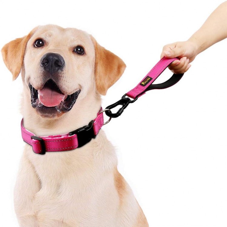 PLUTUS PET 10 Inch Short Dog Leash for Large Dogs with Locking Carabiner Clip & Padded Handle （10”, Pink）