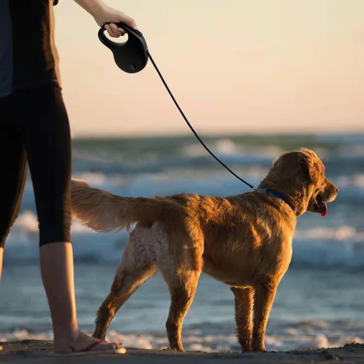 16Ft Retractable Dog Leash,Light Weight Leash for Small to Medium Dogs/Cats Up to 50lbs,Stainless Steel Spring Strong Nylon Tape, Tangle Free, One-Handed Brake (Black)