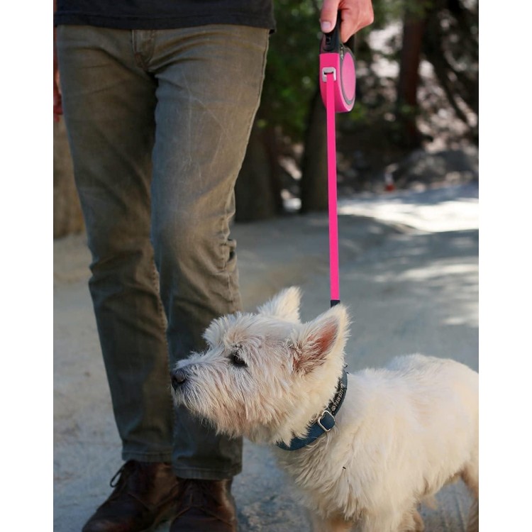 Taglory Retractable Dog Leash, 16ft No Tangle Dog Leash Retractable for Puppy Small Medium Dogs Up to 44 lbs, One-Handed Brake, Pause, Lock, Pink