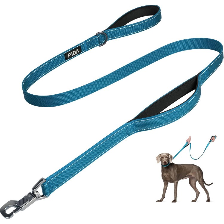 Fida 5 FT Heavy Duty Dog Leash with 2 Comfortable Padded Handles, Traffic Handle & Advanced Easy Snap Hook, Reflective Walking Lead for Large, Medium & Small Breed Dogs, Blue