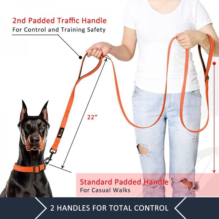 Plutus Pet Dog Leash 6ft long,Traffic Padded Two Handle,Heavy Duty,Reflective Double Handles Lead for Control Safety Training,Leashes for Large Dogs or Medium Dogs,Dual Handles Leads(Orange)