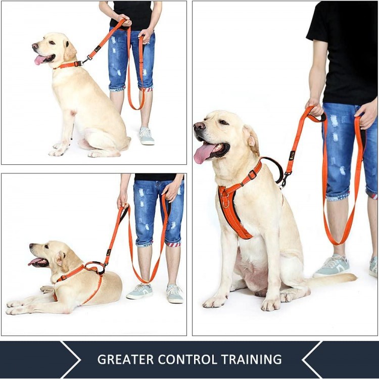 Plutus Pet Dog Leash 6ft long,Traffic Padded Two Handle,Heavy Duty,Reflective Double Handles Lead for Control Safety Training,Leashes for Large Dogs or Medium Dogs,Dual Handles Leads(Orange)