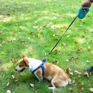 Retractable Dog Leash Lightweight 10/16FT Leash with Non-Slip Handle, for Small Dogs Puppy(Gray Pink, 10FT)