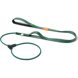 HOWGO Dog Slip Lead Dog Leash,Training Leash,Cinch Leash, No-Pull Slip Leash and Collar,Heavy Duty&Durable,Padded Handle,for All Breeds(Green, 5FT)