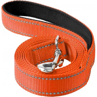 4ft Dog Leash for Small Medium Large Dogs | One-Sided Reflective Nylon | Padded Handle | 1 inch Wide | Orange