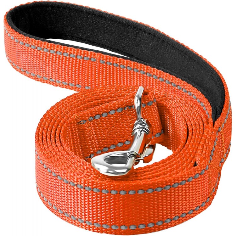 4ft Dog Leash for Small Medium Large Dogs | One-Sided Reflective Nylon | Padded Handle | 1 inch Wide | Orange