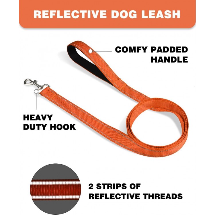 4ft Dog Leash for Small Medium Large Dogs | One-Sided Reflective Nylon | Padded Handle | 1 inch Wide | Orange