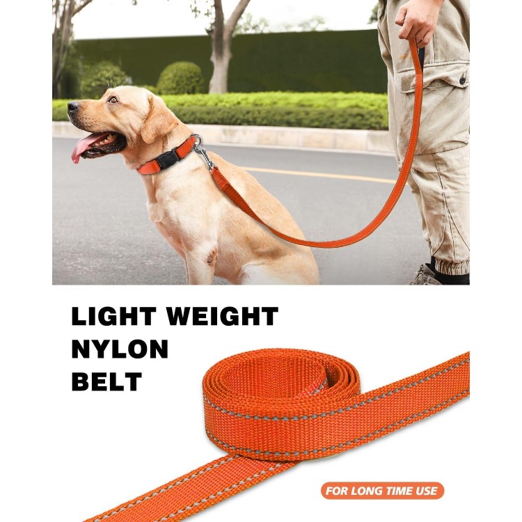 4ft Dog Leash for Small Medium Large Dogs | One-Sided Reflective Nylon | Padded Handle | 1 inch Wide | Orange