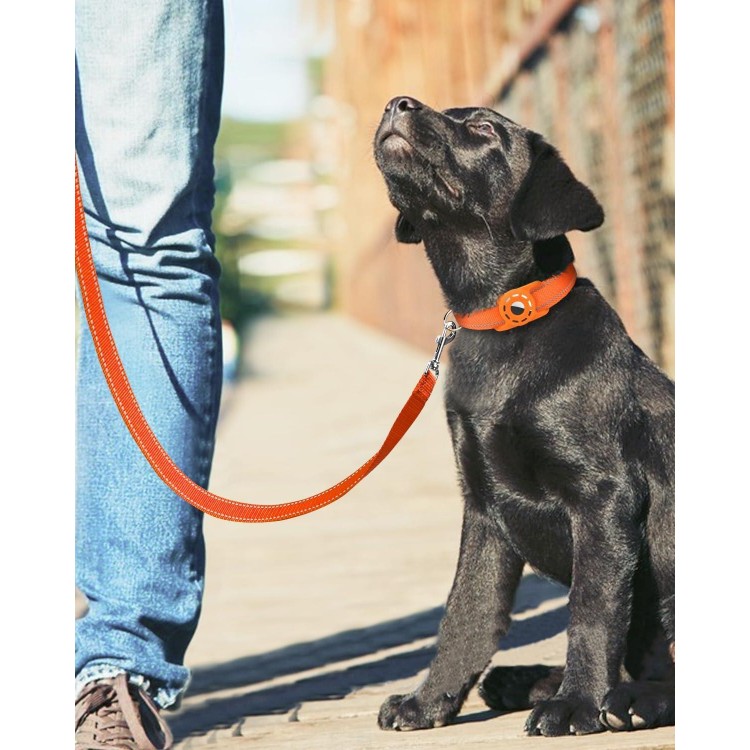 4ft Dog Leash for Small Medium Large Dogs | One-Sided Reflective Nylon | Padded Handle | 1 inch Wide | Orange